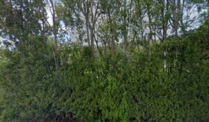 JM Auto à Roquevaire