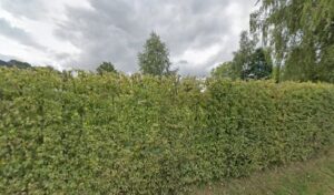 Dealer Yves à Landrecies