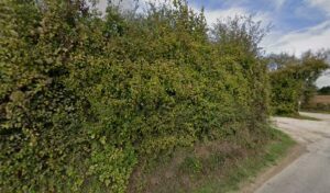 Le Mecano Anglais et fils (The English Mechanic & Son) à Melleran