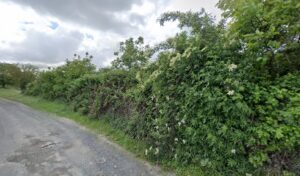 DYNAMISM AUTOMOBILES Mini à Distré