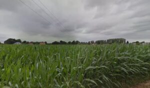 Garage Fouchet à Moyaux