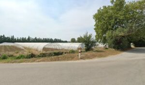 Negoce France International à L'Isle-sur-la-Sorgue