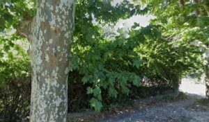 GARAGE VINC’AUTO à Méounes-lès-Montrieux