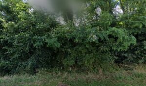 GARAGE SAVIGNY à Savigny-sur-Braye