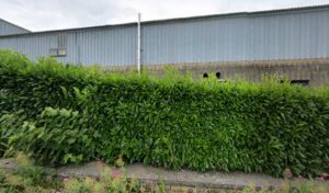 MOTRIO – GGE ROCHETTE à Plogastel-Saint-Germain