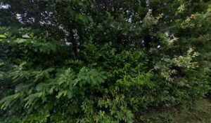 Prodiagtech à Grand-Fougeray