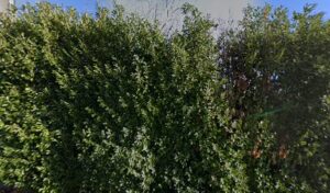 Nc Racing à Lagrave