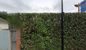 VITRANT à Neaufles-Saint-Martin