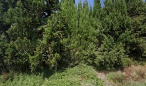 MDA AUTO à Lézignan-Corbières