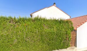 Roussel Yannick à Rombas