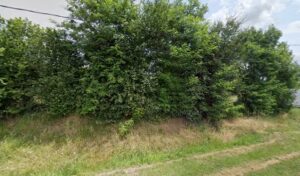 Le Point Meca à Chabrac