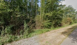 Mécagénie à Citers