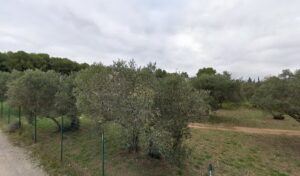 Negoce Vehicules Occasion à Pélissanne