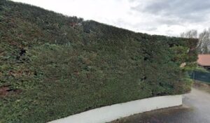 Alias Giséle à Charvieu-Chavagneux