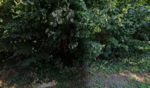 Carrosserie Daniel à Saint-Martin-du-Tertre