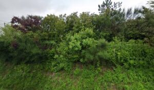 Baurens Mécanique à Saint-Puy