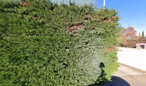 E. S. S. A PIRAS GERARD à Garons