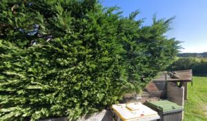 Garage du Grand Roure à Saint-Didier-en-Velay