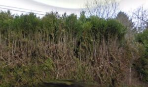 Garage Bonis à Saint-Laurent-des-Hommes