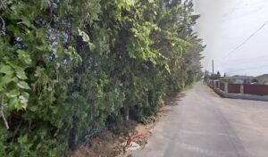 RENAULT AGENCE ASTIER AGENTS à Bellegarde