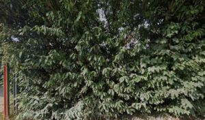 2i auto à Saulx-les-Chartreux