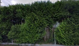 Datin Christophe à Saint-Didier