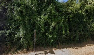 SARL CHARLES à Brioux-sur-Boutonne