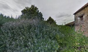 GARAGE CTTP CENTRE TOUT TERRAIN DU PERIGORD à Le Buisson-de-Cadouin