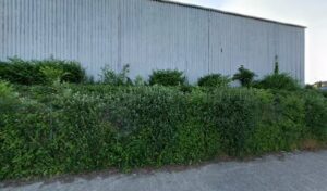 Univers Auto à Feytiat