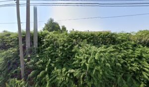 SARL FREGEFOND AUTOMOBILES à Couzeix